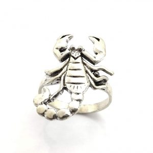 Anillo Plata 925mm